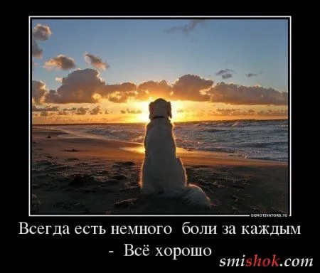 Демотиваторы на тему - Наши чувства