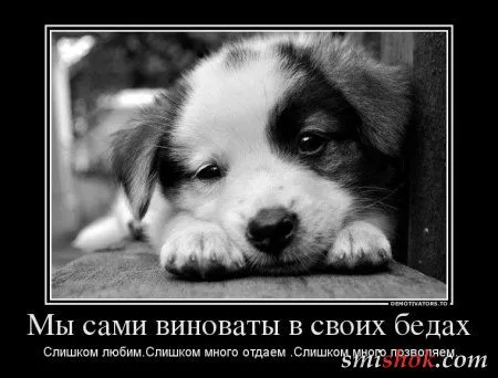 Демотиваторы на тему - Наши чувства