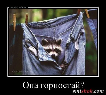 Демотиваторы это приколы в рамке
