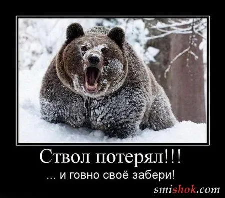 Демотиваторы это приколы в рамке