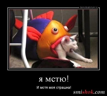 Демотиваторы это приколы в рамке