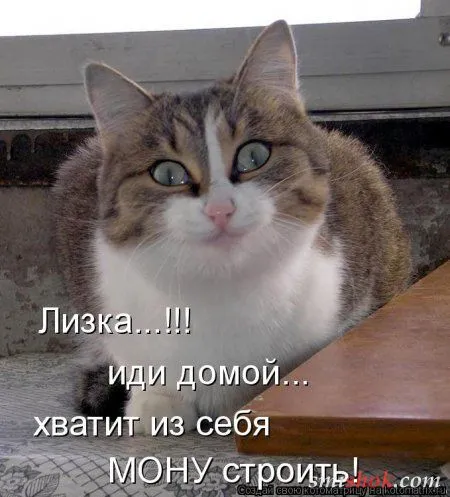 Котоматрицы прикольные