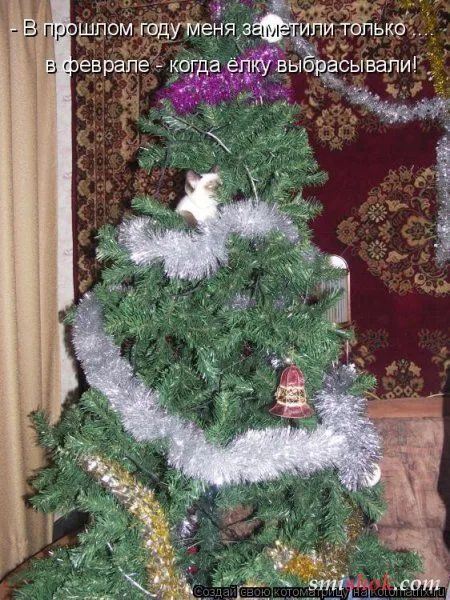 Котоматрицы прикольные