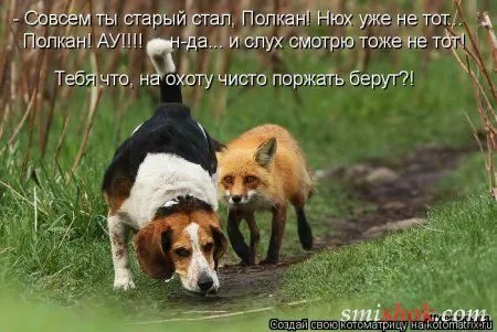 Котоматрицы прикольные