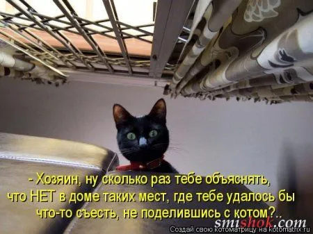 Котоматрицы прикольные