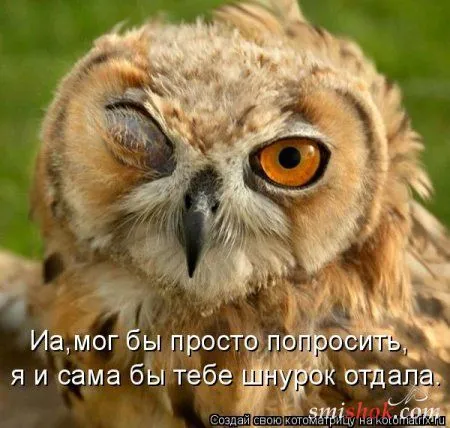 Котоматрицы прикольные