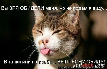 Котоматрицы прикольные
