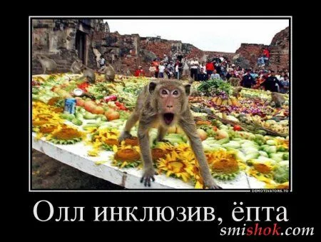 Демотиваторы новые, не прозевай...