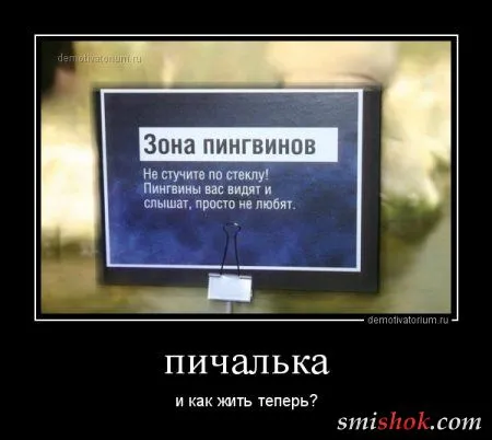 Непростые демотивааторы, свежие прикольные