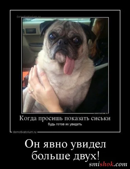 Непростые демотивааторы, свежие прикольные