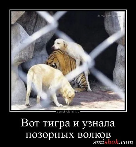 Непростые демотивааторы, свежие прикольные