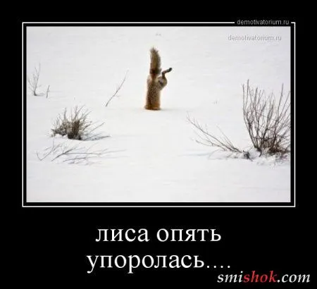 Непростые демотивааторы, свежие прикольные