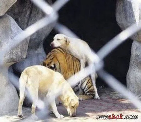 Странные но прикольные люди, что с ними