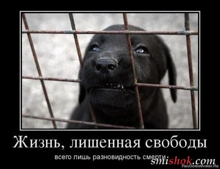 Демотиваторы прикольные и нет проблем