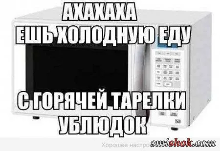 Салат из приколов и позитивных фотографий
