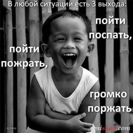 Новые фото приколы, смотри и пересматривай