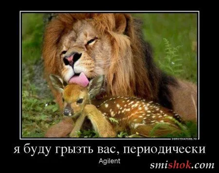 Немного демов - наболтали Немного демов - наболтали