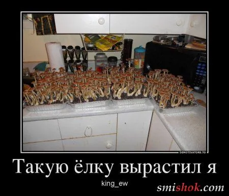 Немного демов - наболтали Немного демов - наболтали