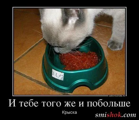 Немного демов - наболтали Немного демов - наболтали