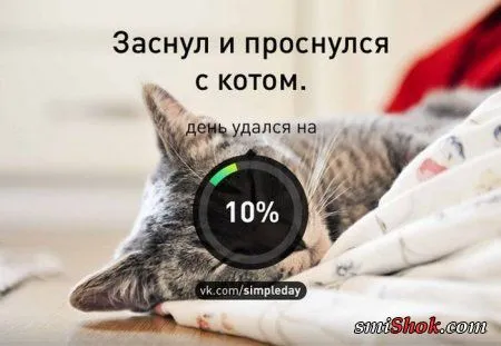 День удался. А как ваш денёк?
