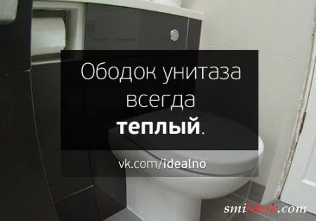Вот было бы идеально.... Вот было бы идеально....