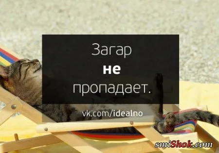 Вот было бы идеально.... Вот было бы идеально....