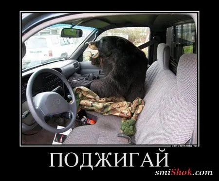 Демотиваторы как всегда свежие и только прикольные
