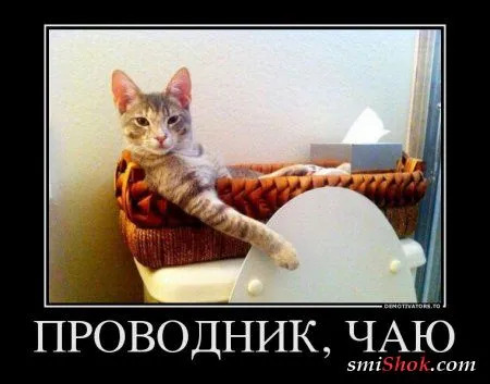 Демотиваторы как всегда свежие и только прикольные
