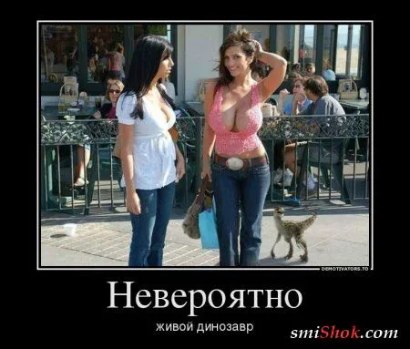 Демотиваторы как всегда свежие и только прикольные