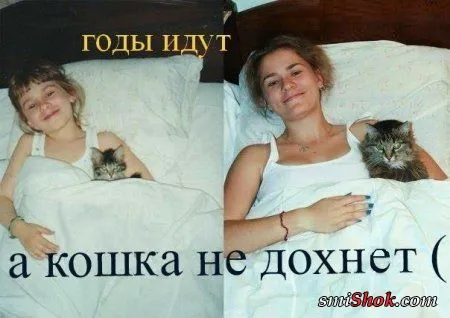 Смотри прикольные комиксы, их все больше