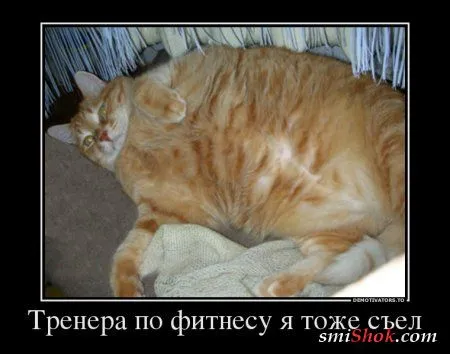 Демотиваторы с приколами, быстро поднимают настроение Демотиваторы с приколами, быстро поднимают настроение