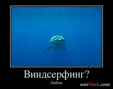 Демотиваторы с приколами, быстро поднимают настроение Демотиваторы с приколами, быстро поднимают настроение