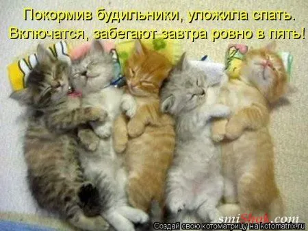 Свежайшие котоматрицы! Налетаем и смотрим