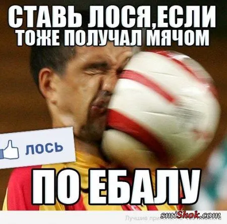 Пятничные СМС переписки и прикольные весёлые картинки Пятничные СМС переписки и прикольные весёлые картинки