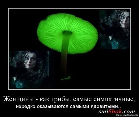 Демотиваторы, у нас есть что Вам показать