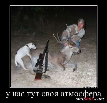 Демотиваторы прикольненькие, только новые
