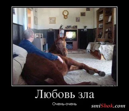 Демотиваторы прикольненькие, только новые