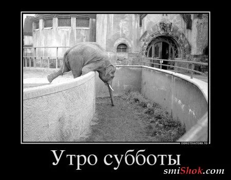 Демотиваторы прикольненькие, только новые