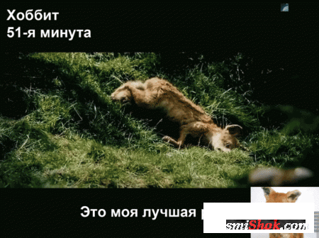 Вот тебе приколы, что с ними делать ты знаешь