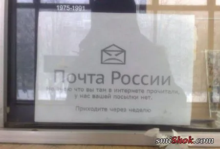 Подборочка позитивчика на вечерок