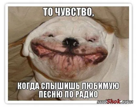 Комиксы-картинки, что бы день был прикольным