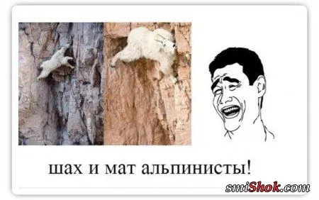 Комиксы-картинки, что бы день был прикольным
