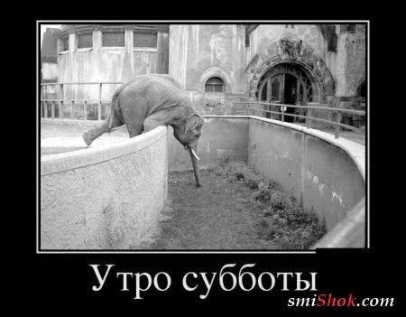 Веселый пост