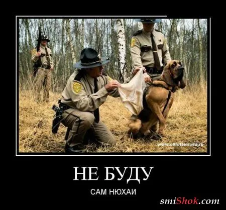 Веселый пост