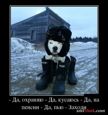 Веселый пост