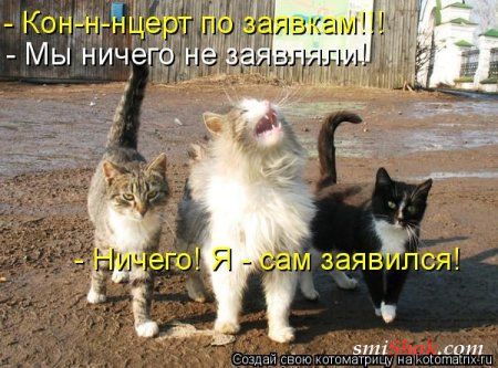 Котоматрицы, смешные кошки