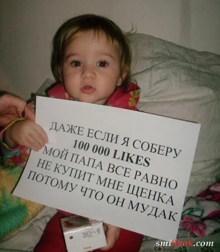 Прикольные фотки и картинки
