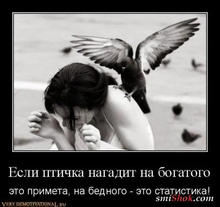 Под стольные демотиваторы!