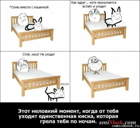 Смотри прикольные картинки Смотри прикольные картинки