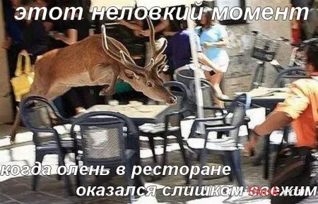 Смотри прикольные картинки Смотри прикольные картинки